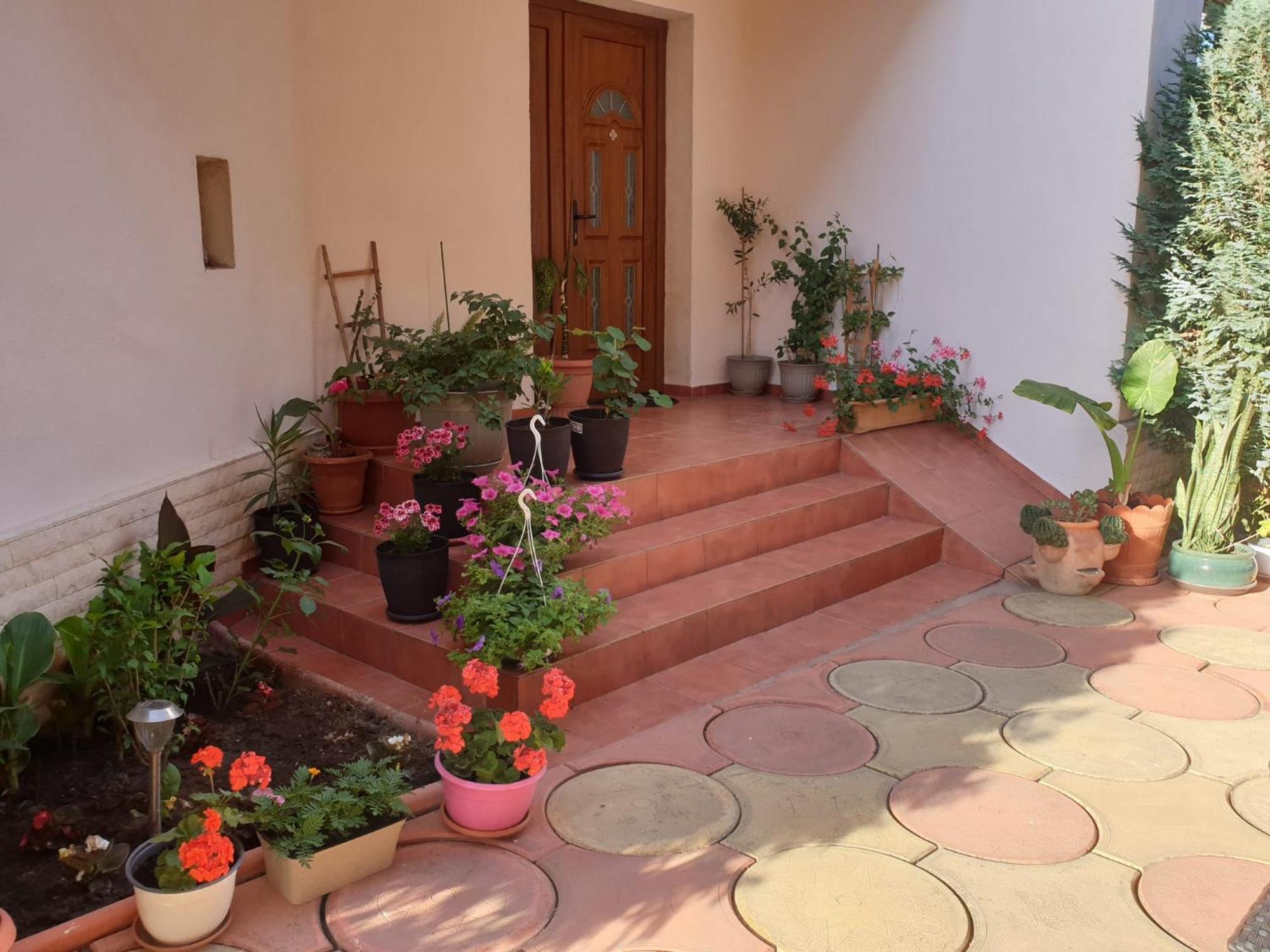 Casa Mary Hotel Costinesti Exterior photo