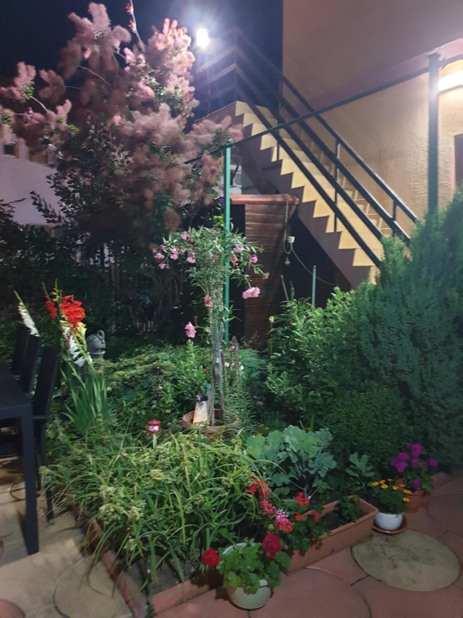 Casa Mary Hotel Costinesti Exterior photo